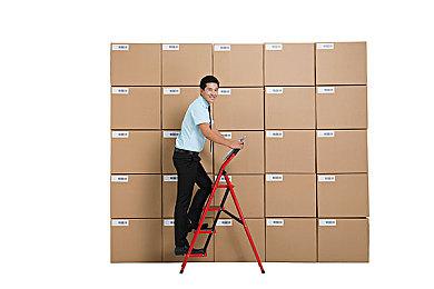 独立游戏《烽火松林》现已发售 首发登陆XGP